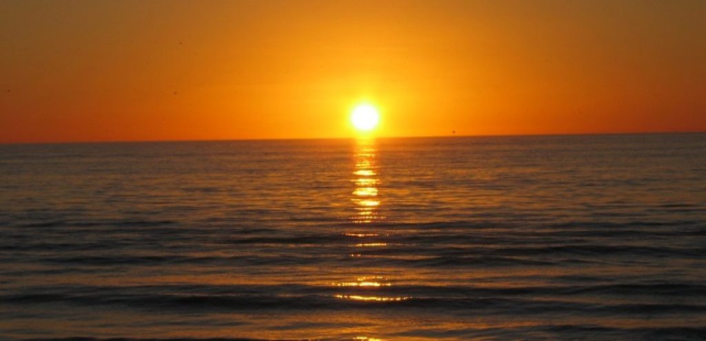 Shine Your Light