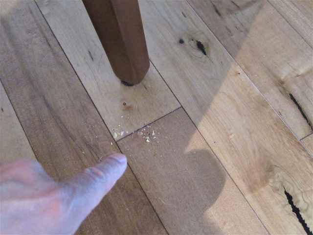 Who’s a Hoorah’s&nbsp;Nest?