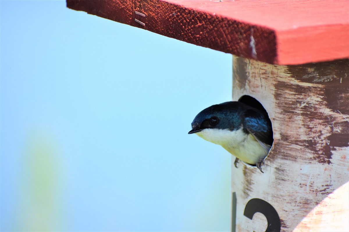 Walking the Terry Trueblood Trail in&nbsp;May