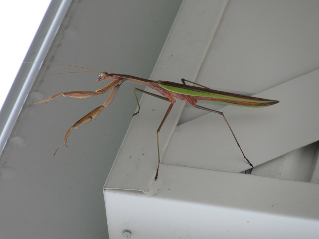 Signs to Guide&nbsp;Me