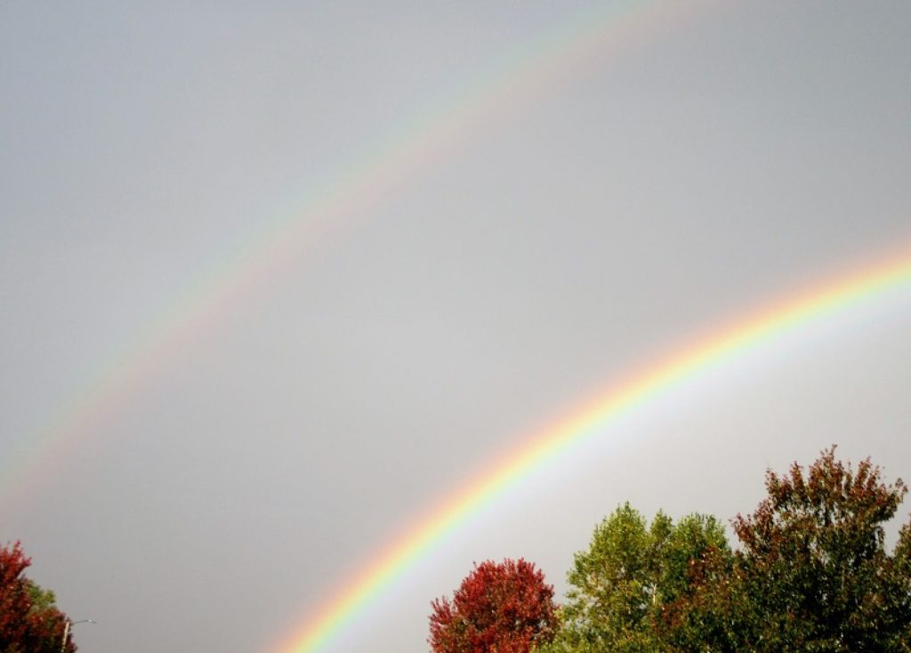 Reblogging The Good Enough Psychiatrist Latest Post, “How to&nbsp;Love”