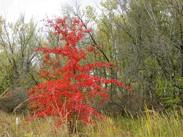 Am I a Mover and a Shaker—or Just&nbsp;Shaky?