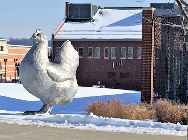 A Giant Chicken