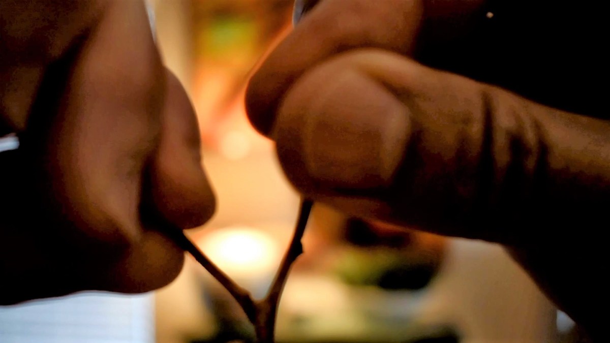 I’m Late for Valentine’s&nbsp;Day