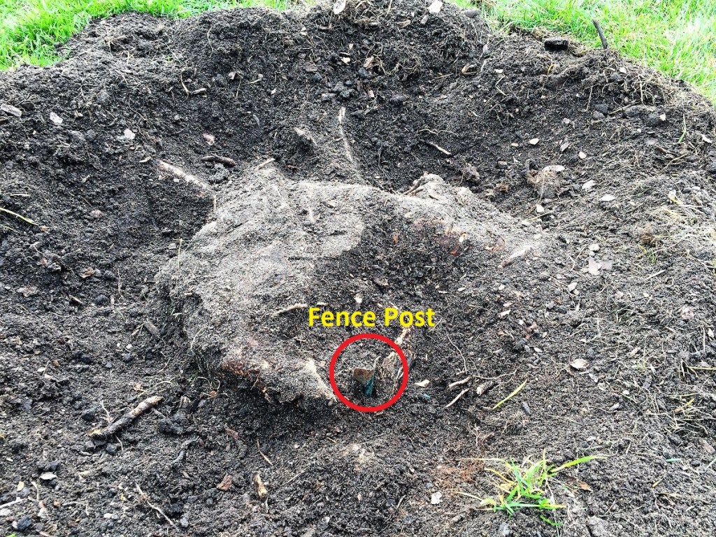 Stumped