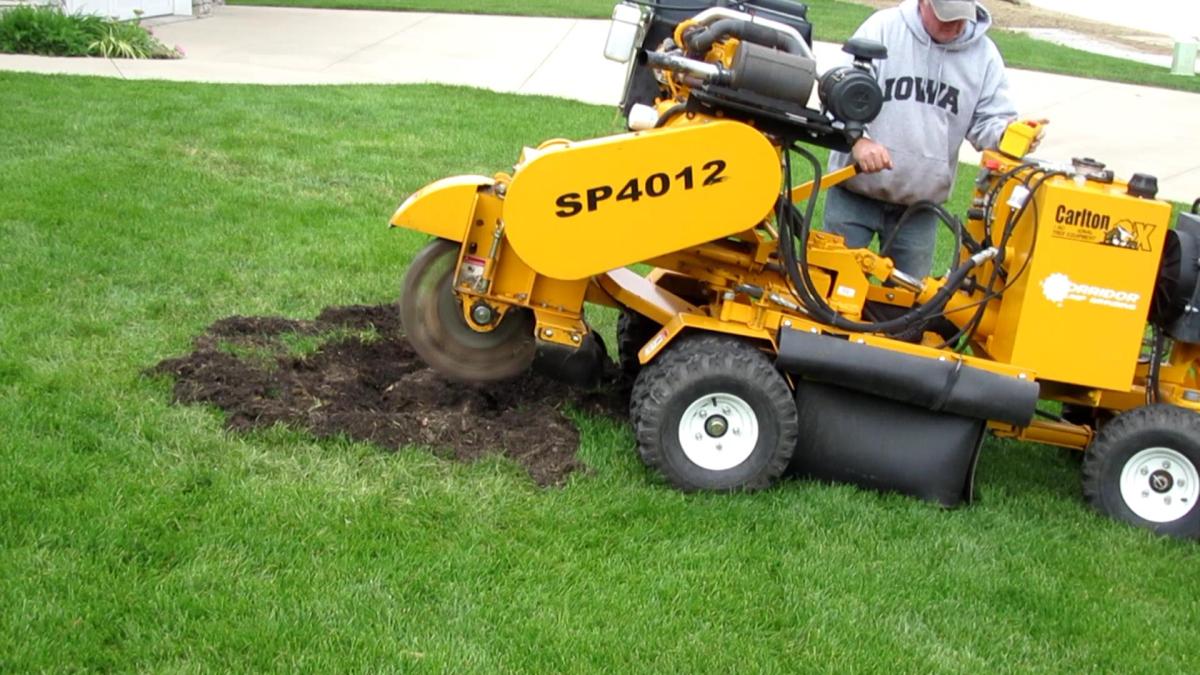 Frank and His Stump&nbsp;Grinder