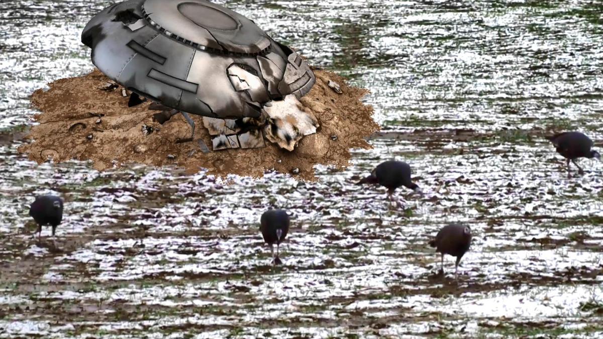 Pleiadian Zombie Turkeys