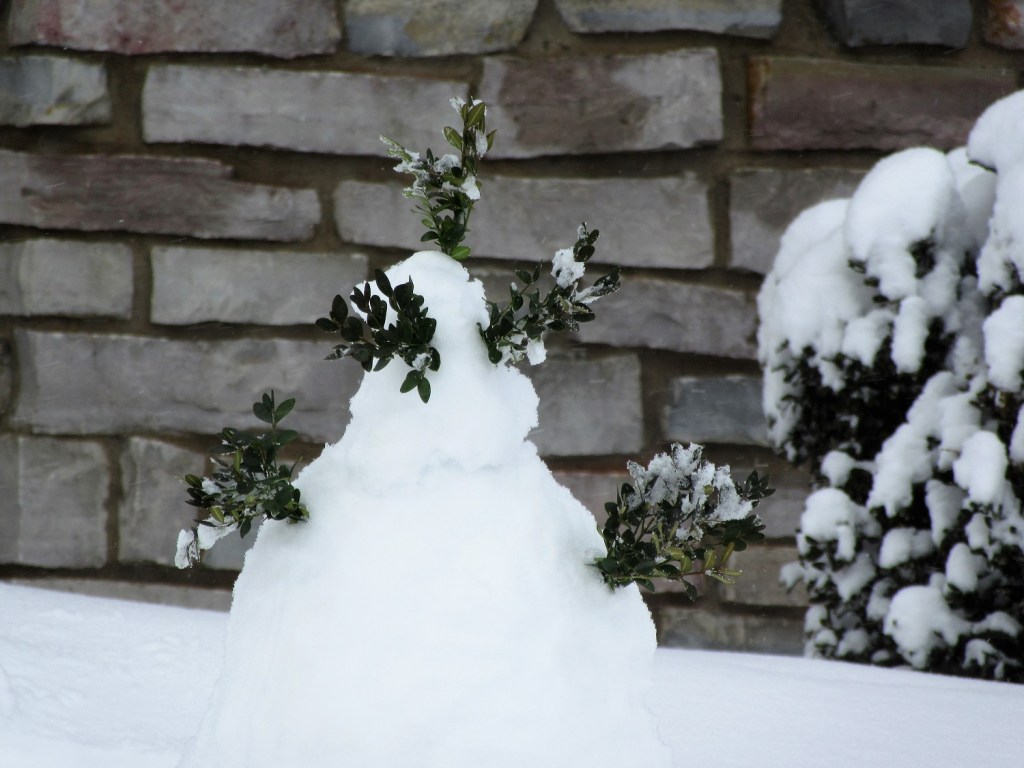 The Snow Alien