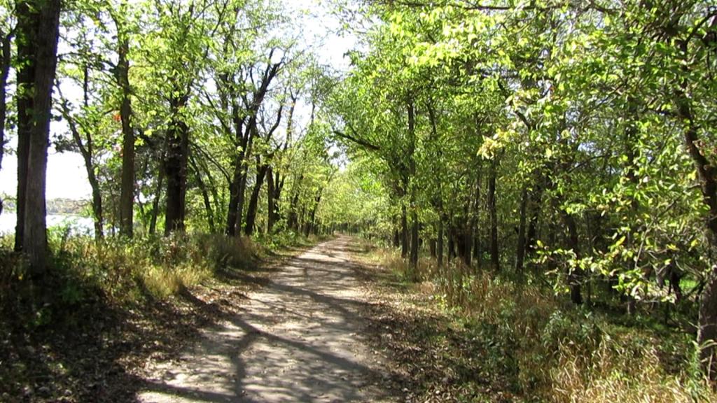 Stretching Our Legs on the Terry Trueblood Trail