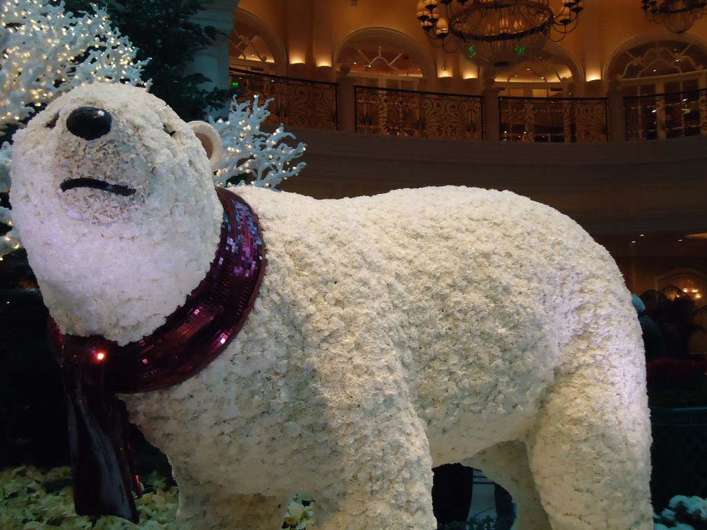 Merry Christmas to My Wife…and to&nbsp;You