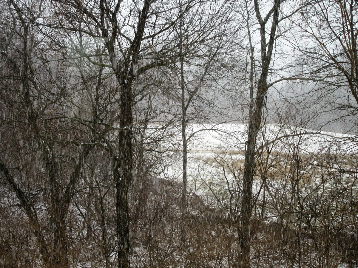 It’s Iowa’s 175th Birthday; Get Out and Shovel&nbsp;Snow!