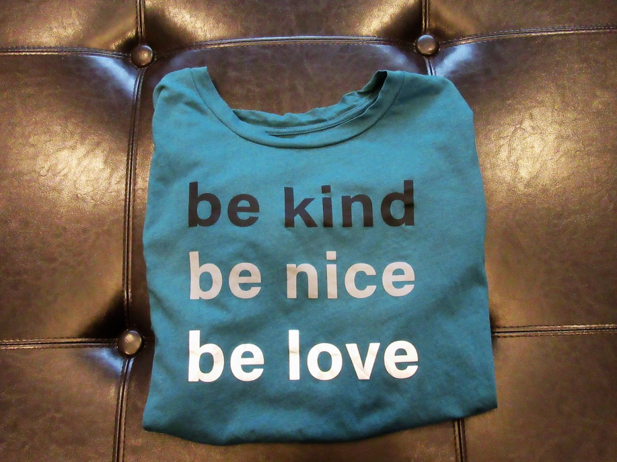 Be Kind and View Our Chicago Cribbage Antics&nbsp;Video