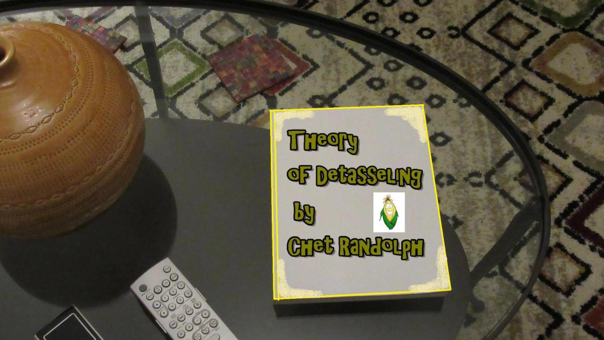 Return to the Sun&nbsp;Room