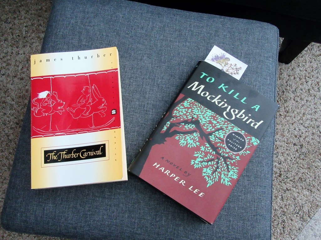 Thoughts So Far on “To Kill a&nbsp;Mockingbird”