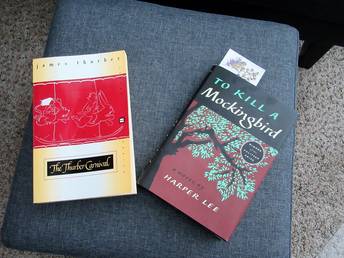 Thoughts So Far on “To Kill a&nbsp;Mockingbird”