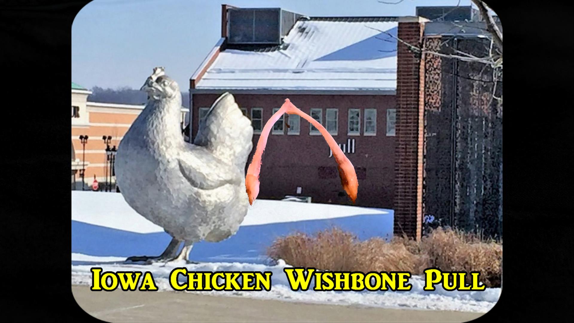 The Ultimate Chicken Wishbone&nbsp;Pull