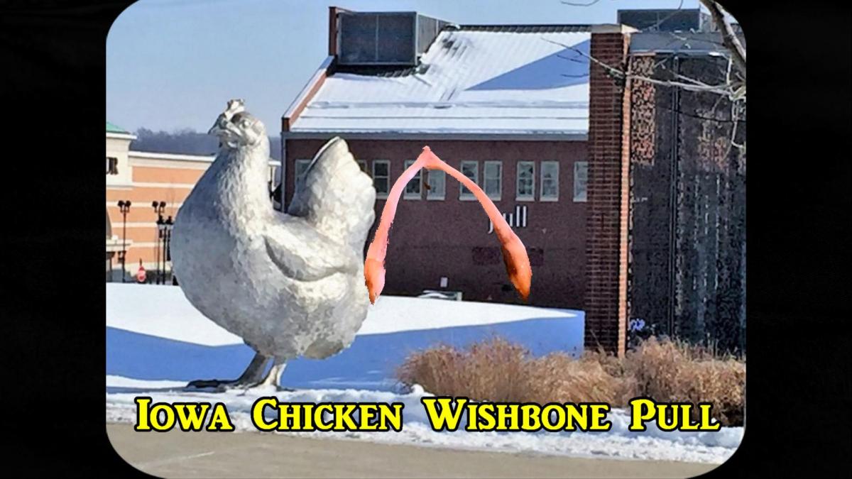 The Ultimate Chicken Wishbone&nbsp;Pull