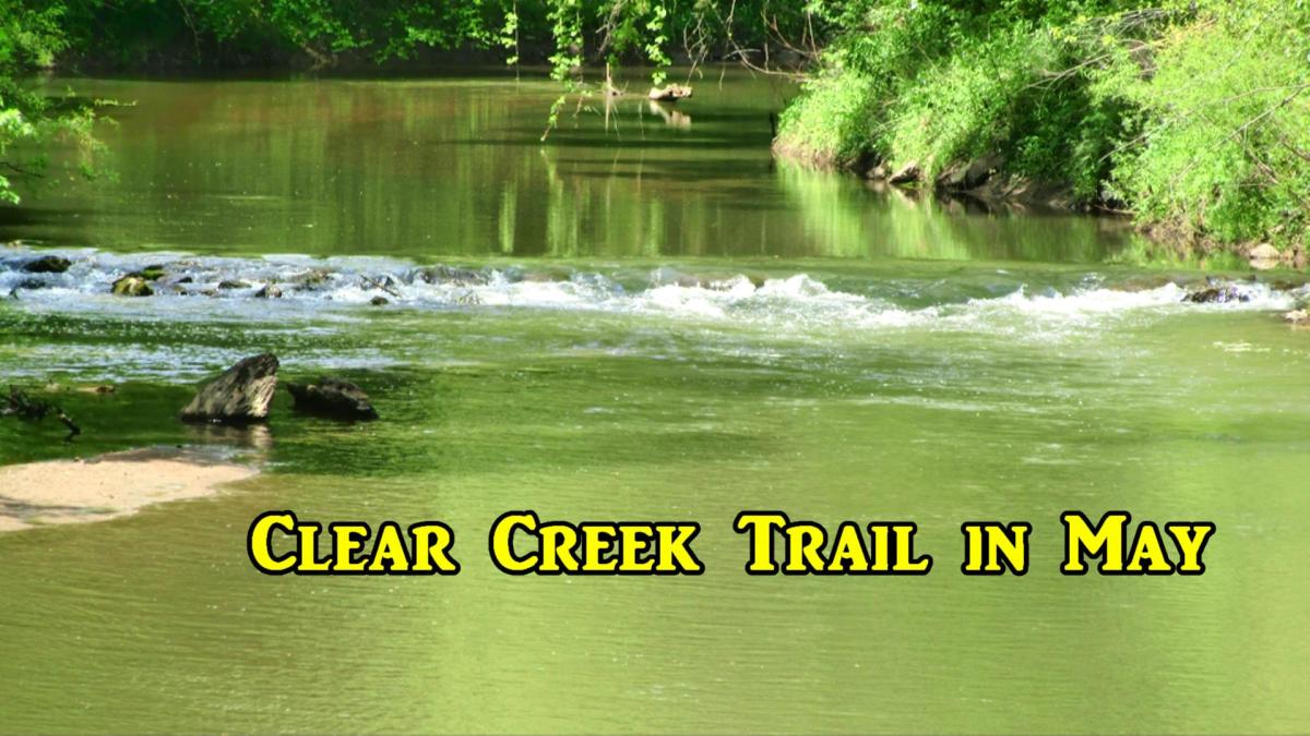 Walking the Clear Creek Trail—Looking for a&nbsp;Hamburger