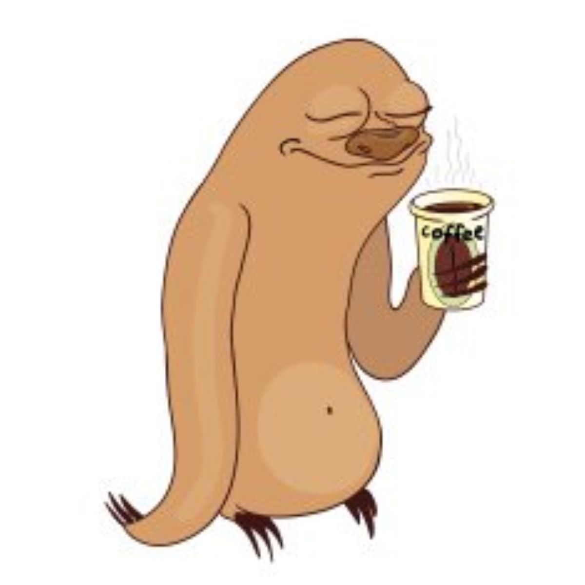 Do You Get the Zoomies or the&nbsp;Zennies?