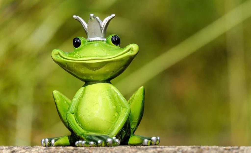 Stuck on Toads and Frogs
