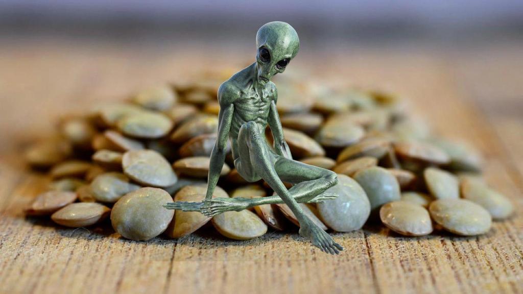 Extraterrestrials Need Lentils Anonymous Program