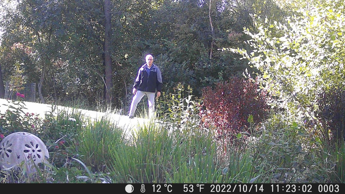 What’s Up with No Critter Cam Pictures Last&nbsp;Night?