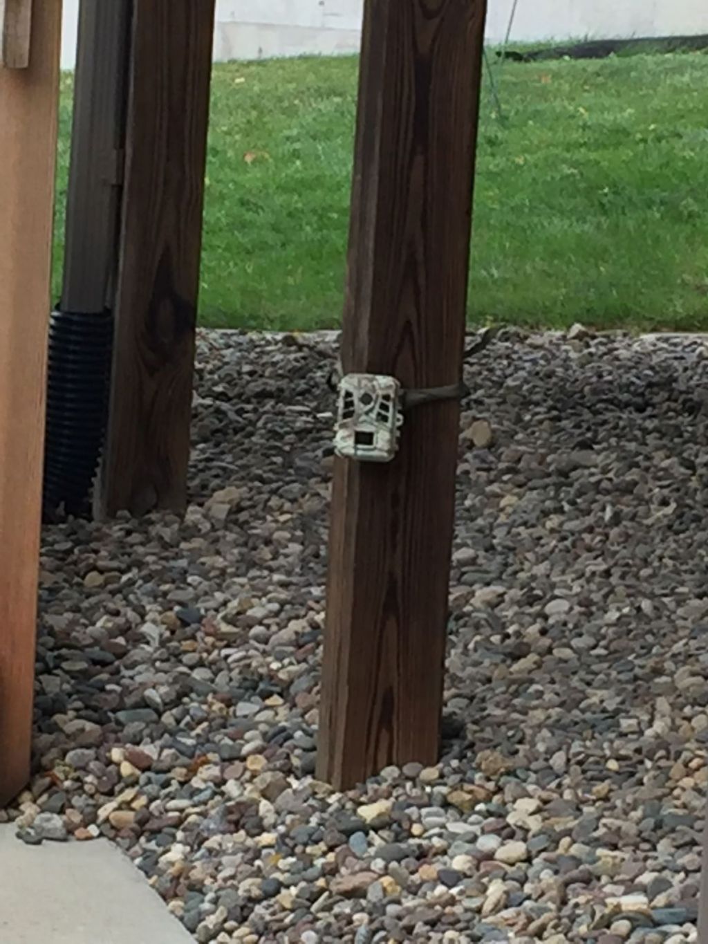 Critter Cam Tested and Ready to Go!
