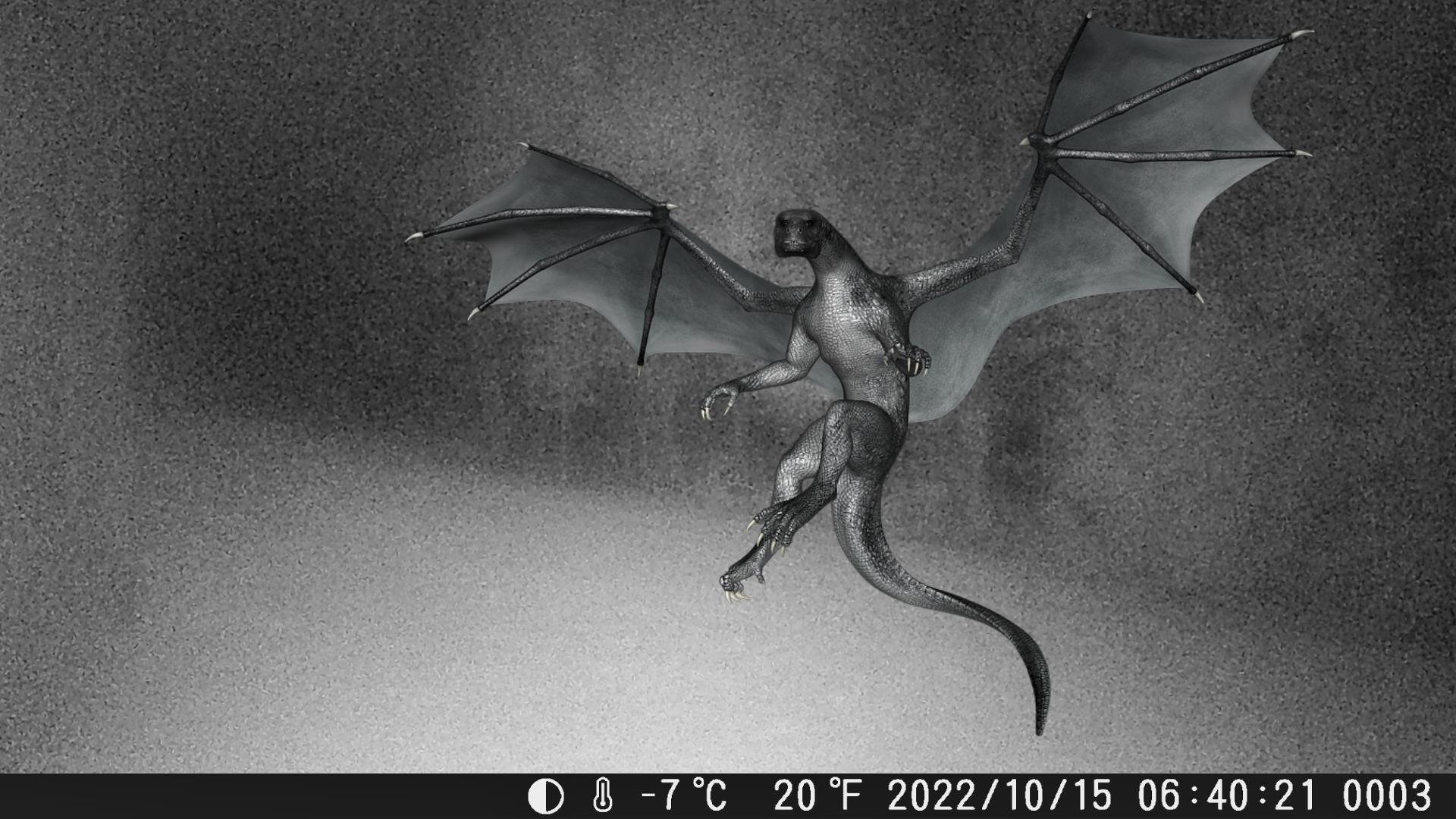 Cryptid Caught on Camera!