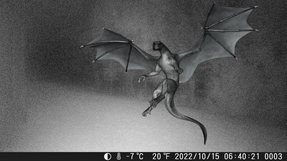 Cryptid Caught on&nbsp;Camera!