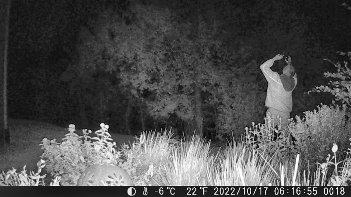 Me and the Deer Caught in the Critter Cam&nbsp;Lights