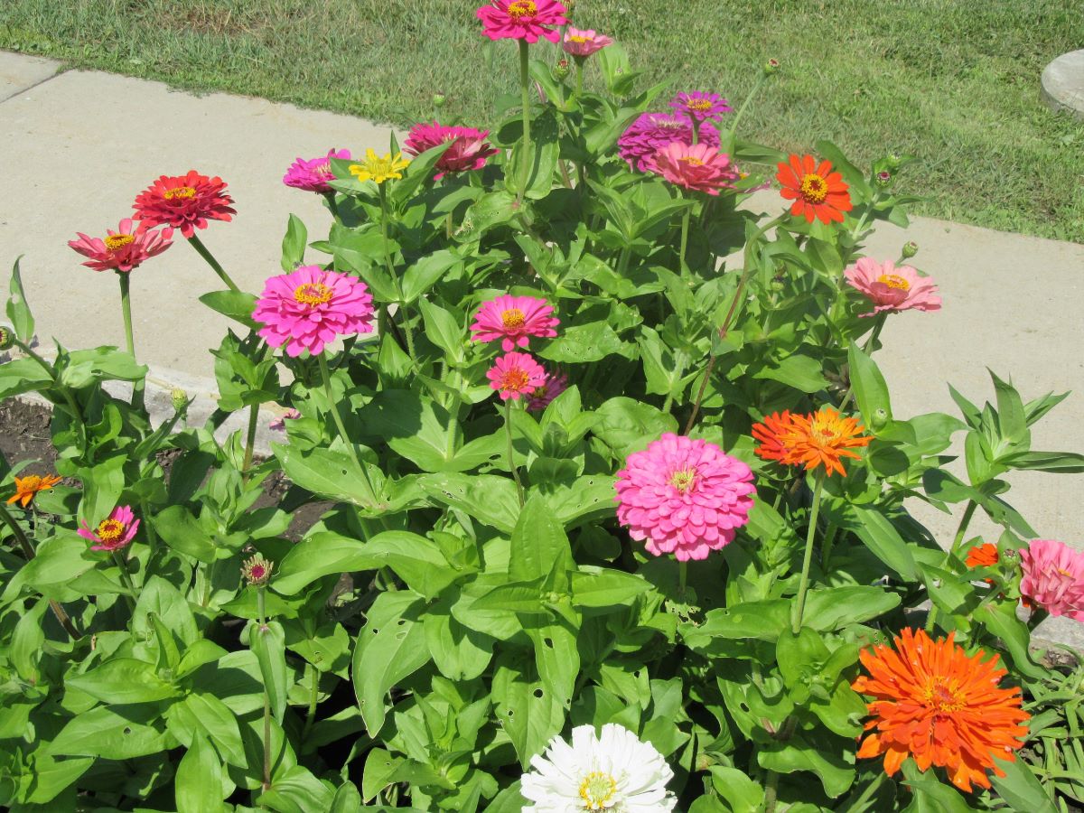 Sometimes Names are&nbsp;Hard