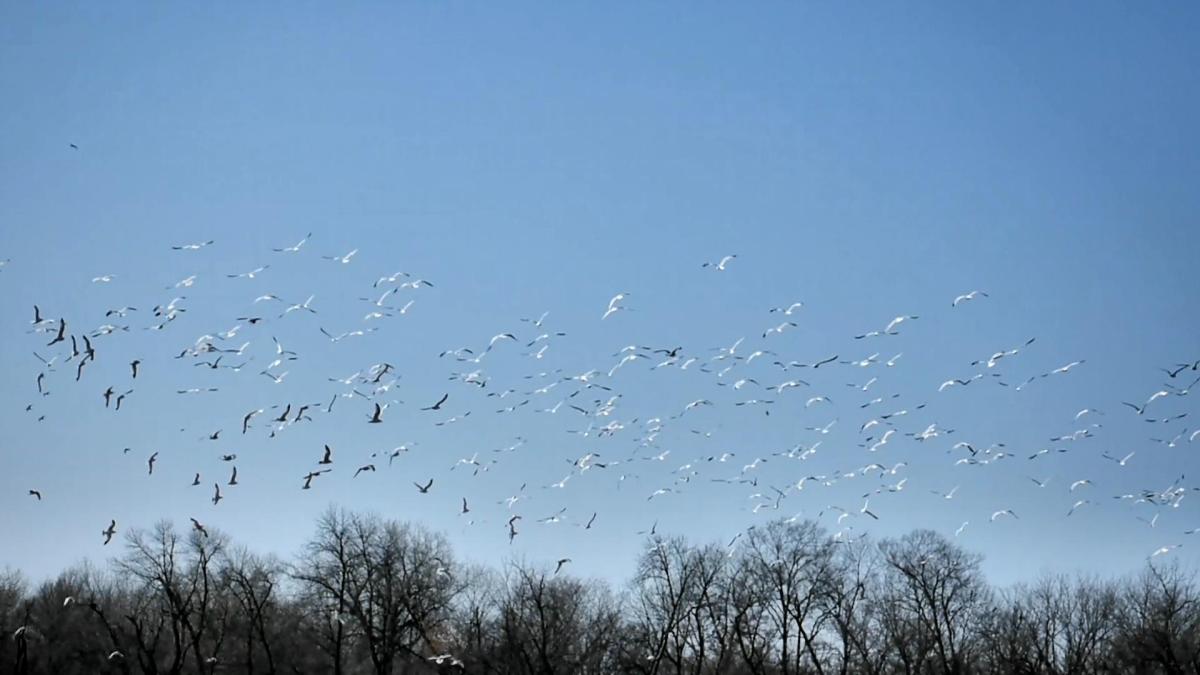 A Day Without Glitches in the&nbsp;Matrix