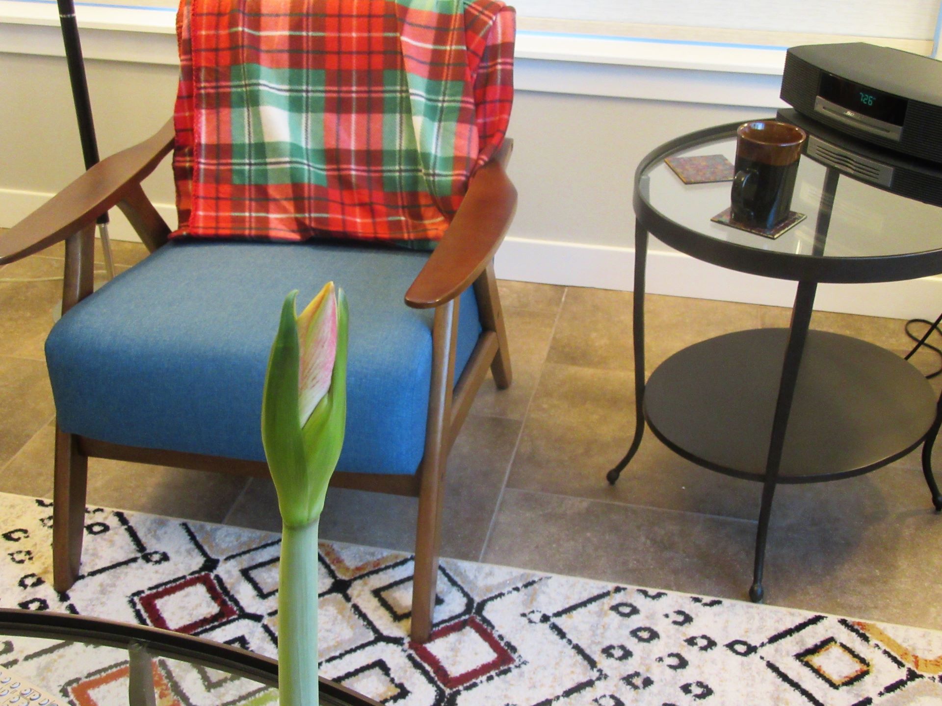 Updates on Amaryllis and Ugly Juggling
