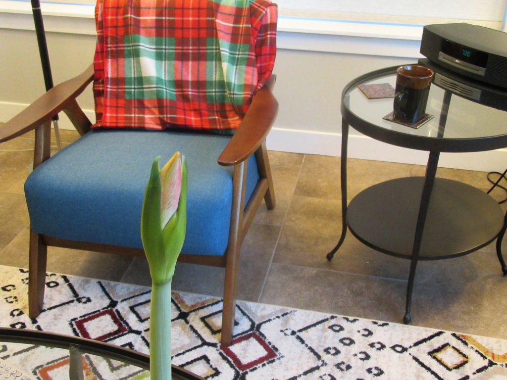 Updates on Amaryllis and Ugly&nbsp;Juggling