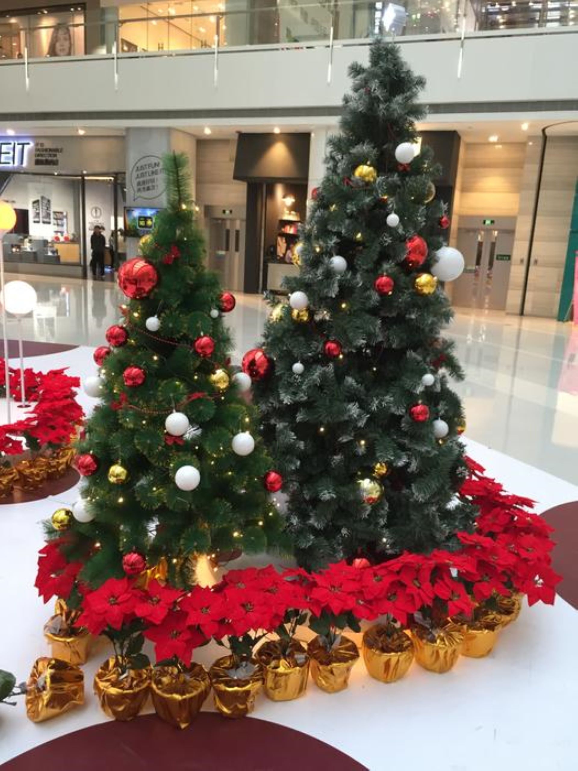 Christmas at the Mall