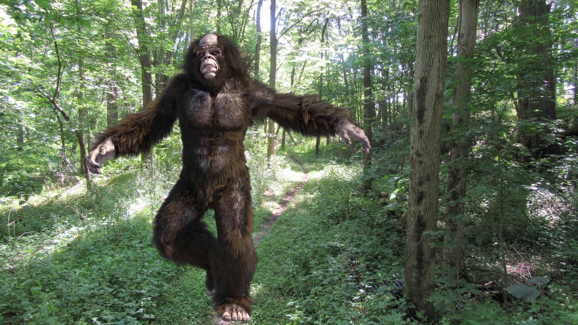 Yowie the Tree Hugger!