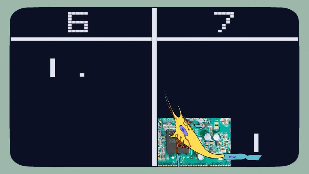 We Are All Still Learning to Play&nbsp;Pong