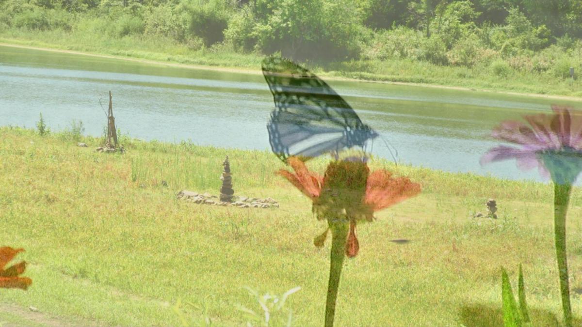 Terry Trueblood Garden of Natural and Not So Natural&nbsp;Things