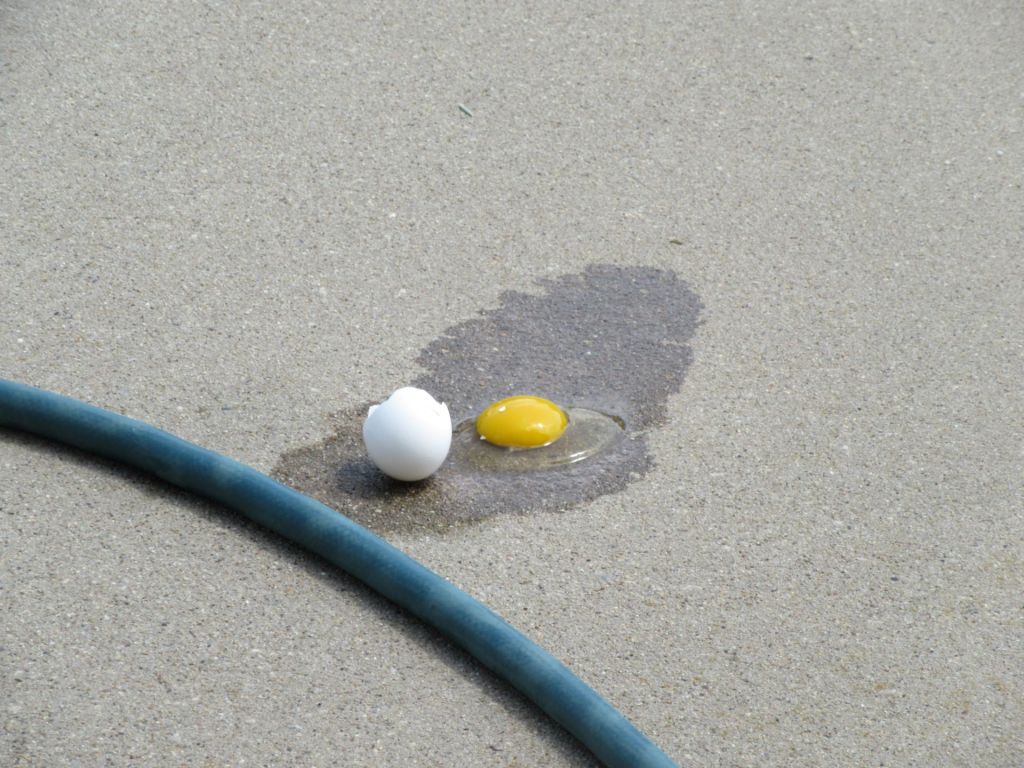 Can You Fry an Egg on a Driveway on a Hot Day?