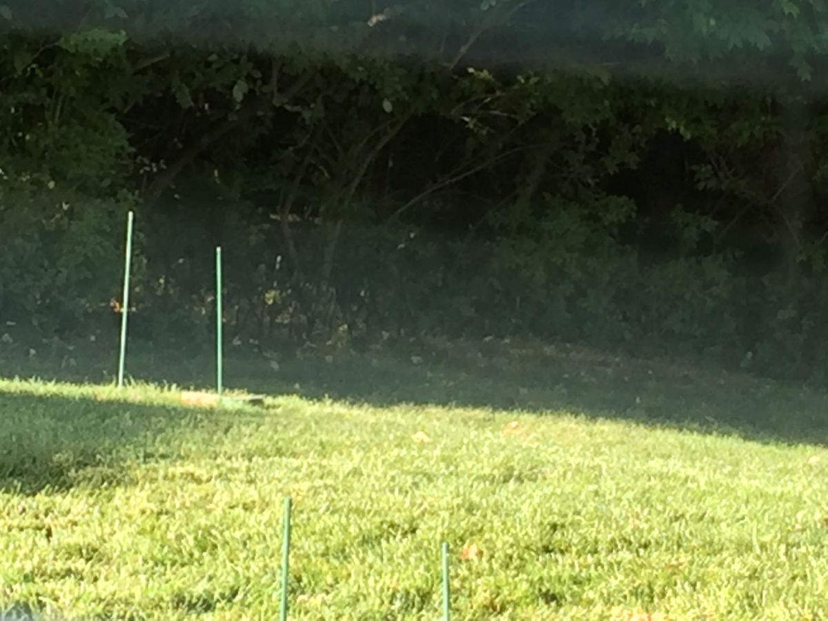 Decision Time on Flipped Drain Tile&nbsp;Lids