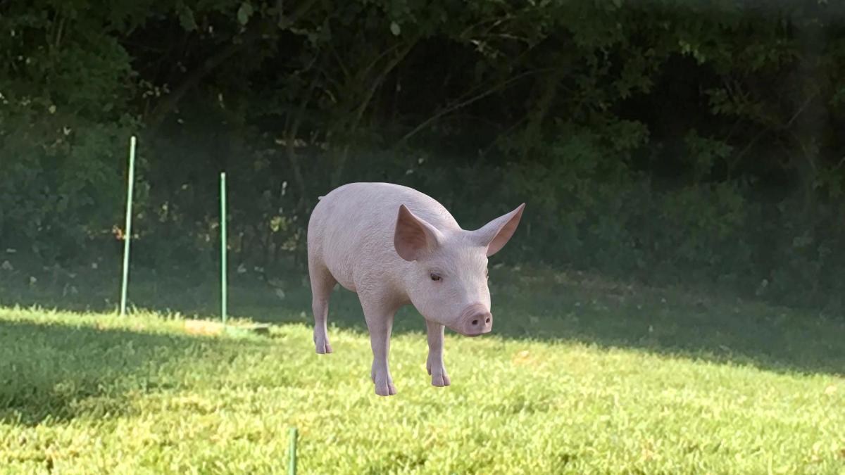 Door Painters Remembered Everything But The 3 Legged Pig&nbsp;Joke!