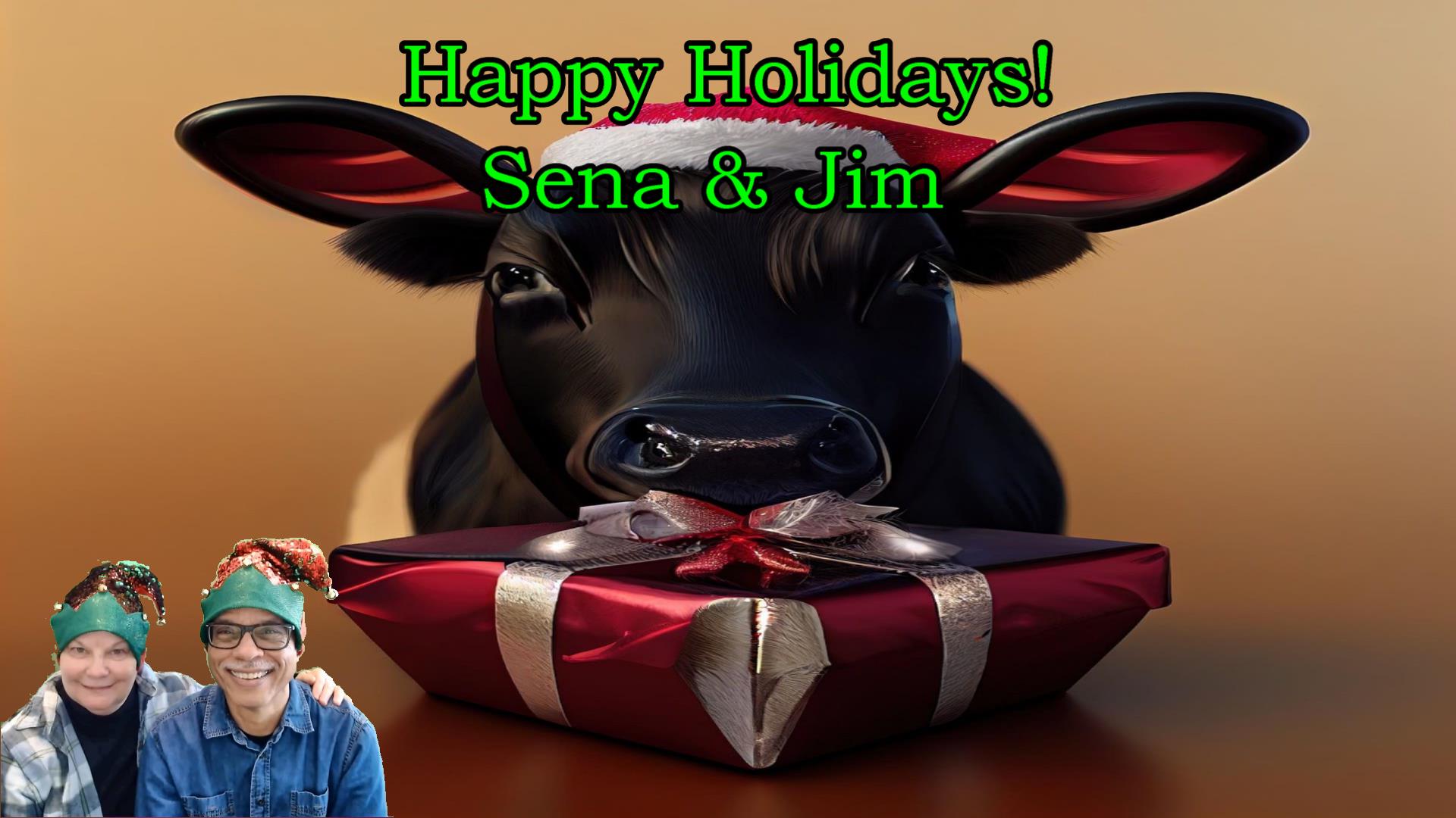 Happy Holidays!