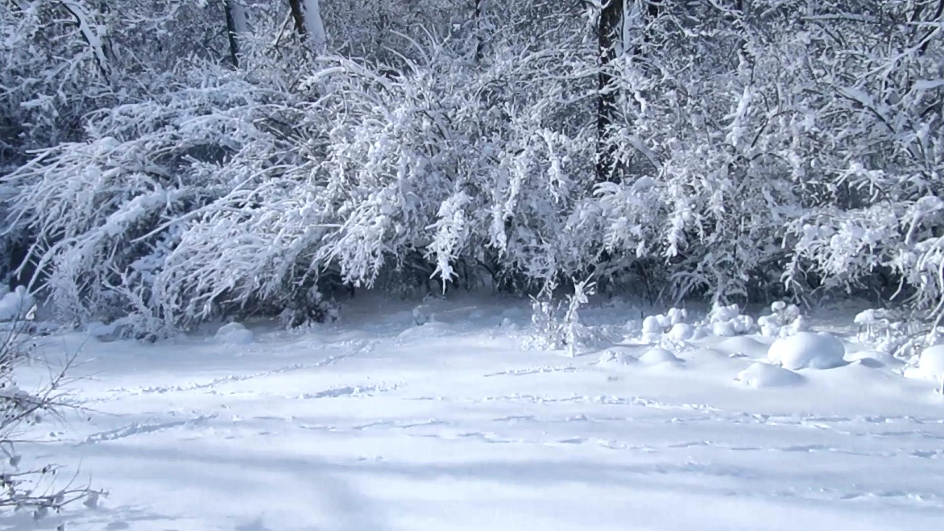 Heed Warnings About Risk for&nbsp;Frostbite