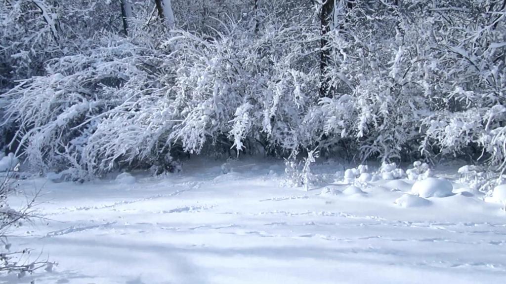 Heed Warnings About Risk for&nbsp;Frostbite