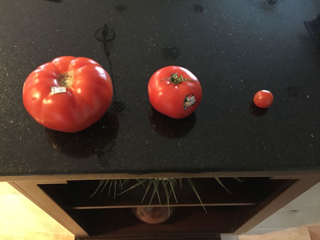 The Big Tomato On The Vegetable Hamburger,&nbsp;Please!
