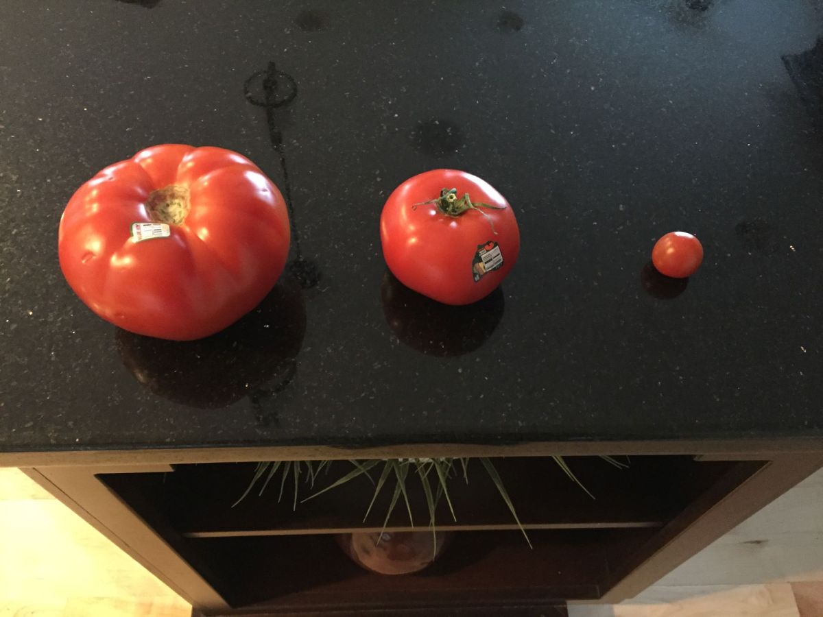 The Big Tomato On The Vegetable Hamburger,&nbsp;Please!