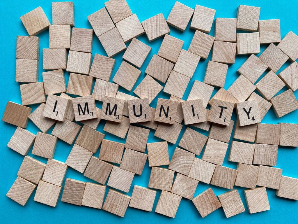 What Does “Design Defect” of a Vaccine Mean In the Iowa Bill to Require Vaccine Manufacturers to Waive Immunity from&nbsp;Lawsuits?