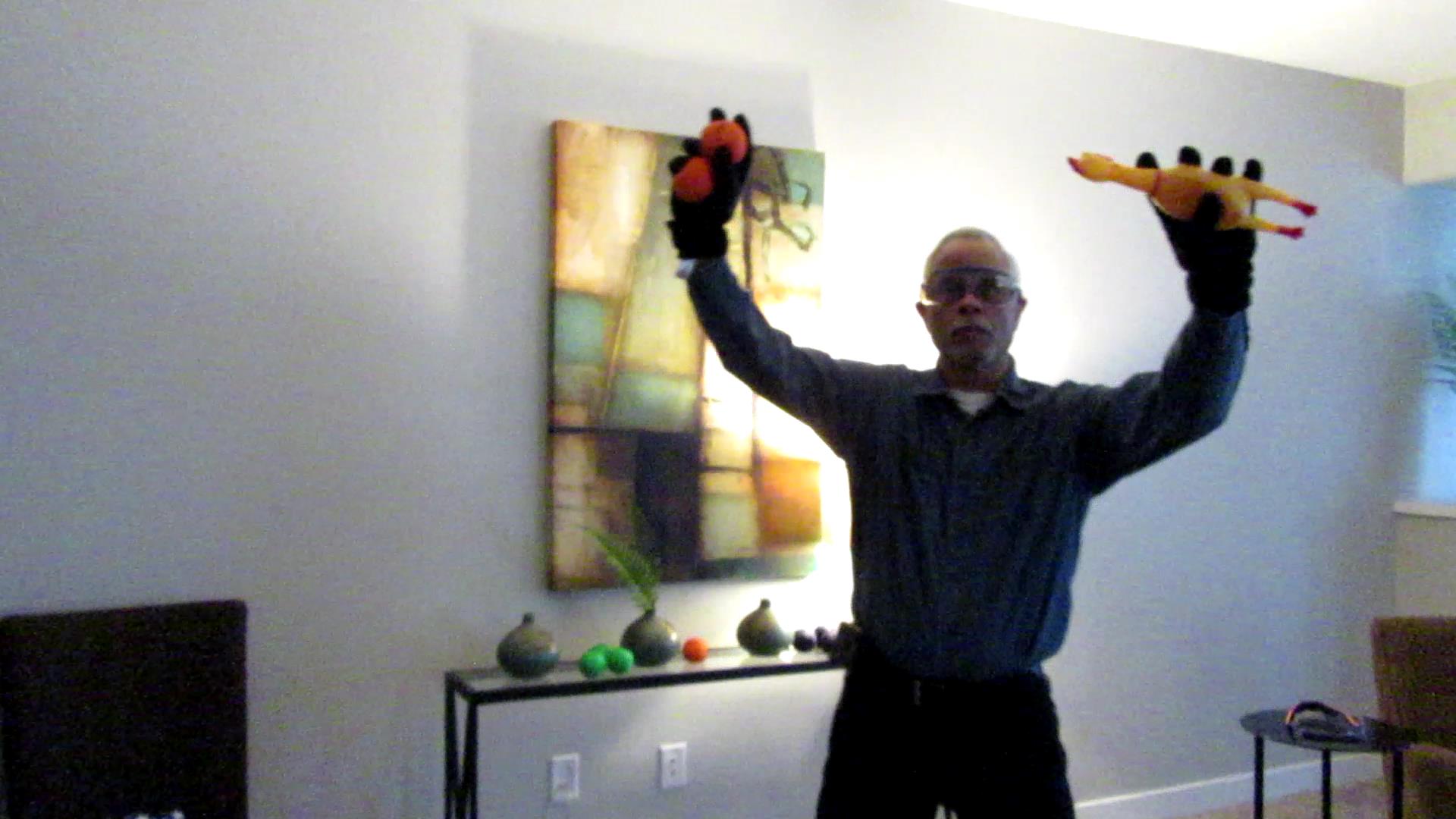 The Demonic Shrilling Chicken Rematch