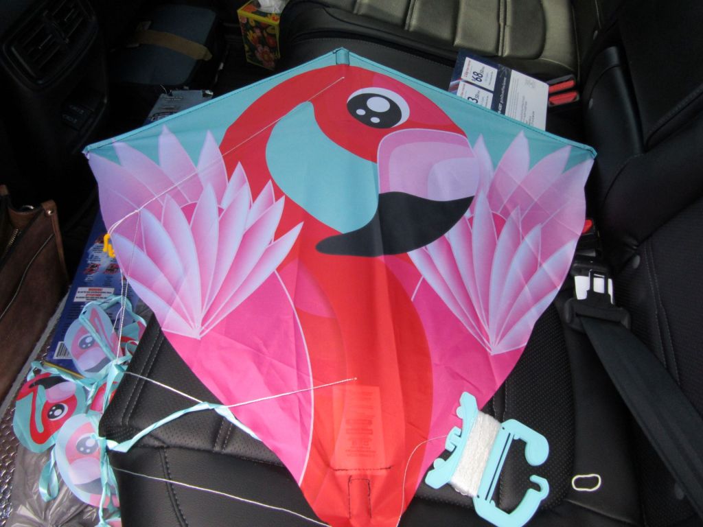 Go Fly a Kite Right&nbsp;Now!
