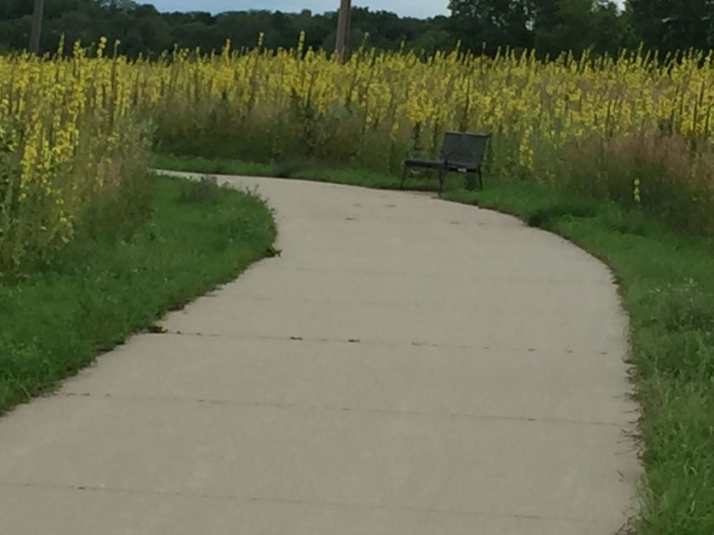 When Do We Get Out of the&nbsp;Woods?